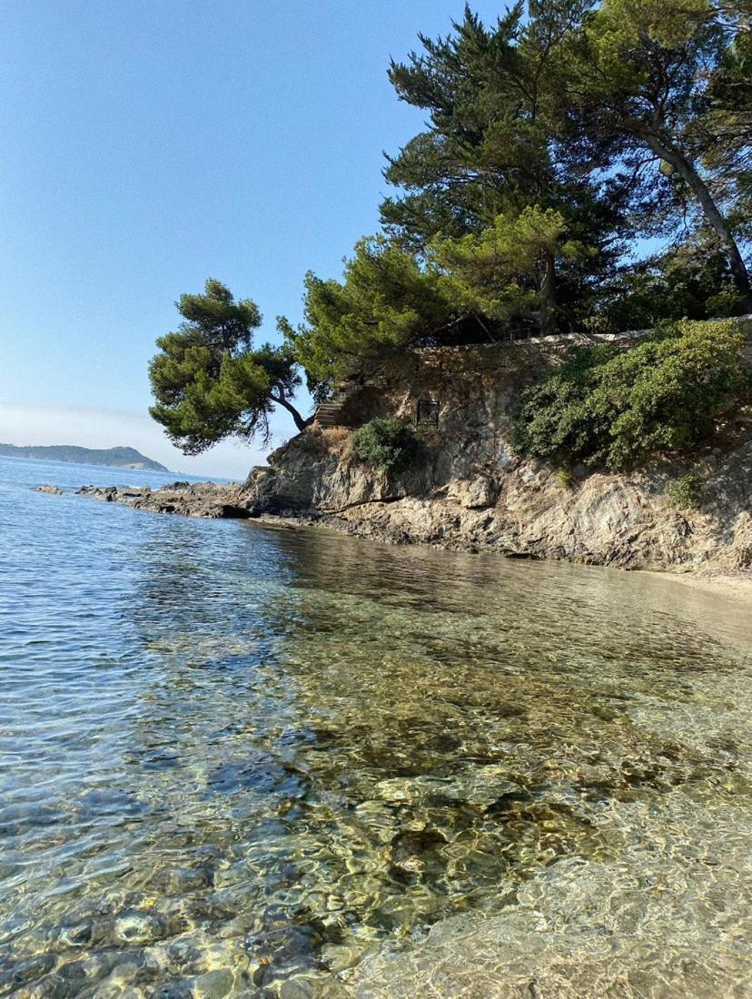 Haut De Villa Entre Mer Et Campagne Йер Экстерьер фото
